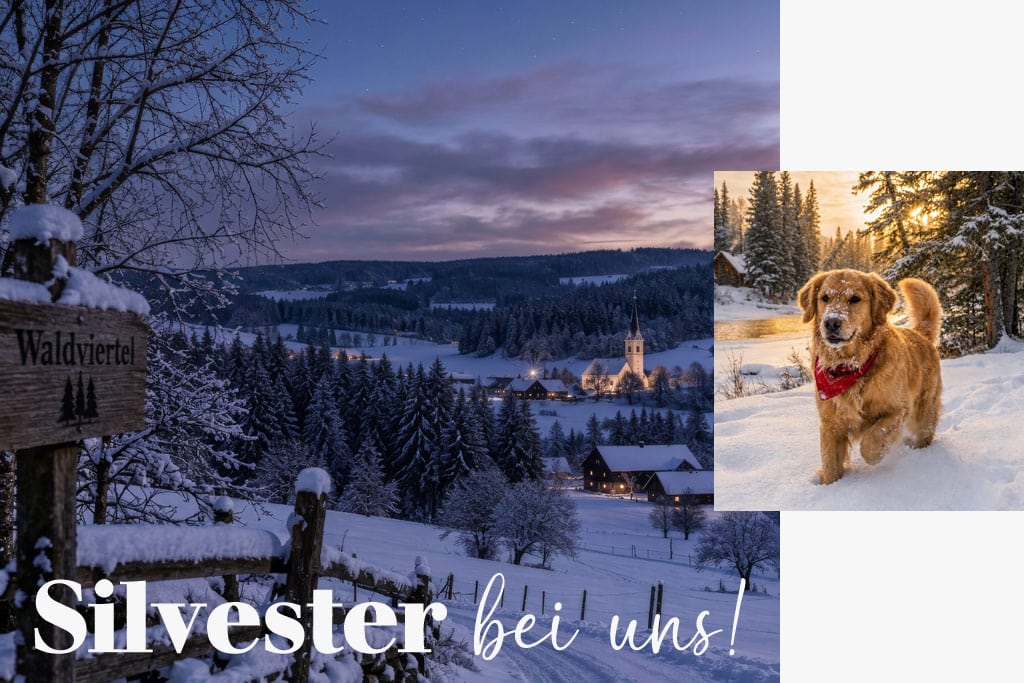Silvester mit Hund im Hotel Kutscherklause im Waldviertel